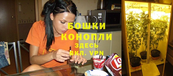 бутират Мегион