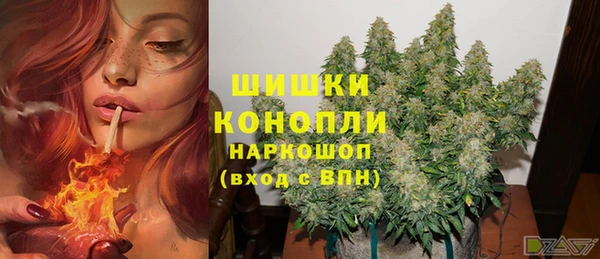 бутират Мегион