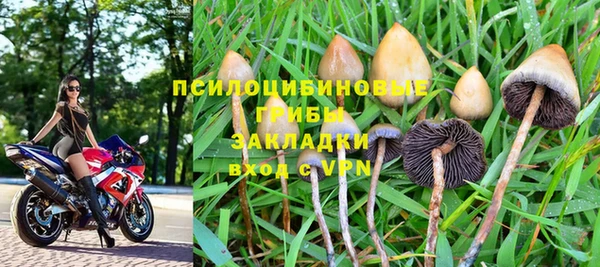 амф Медногорск