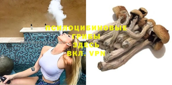 амф Медногорск
