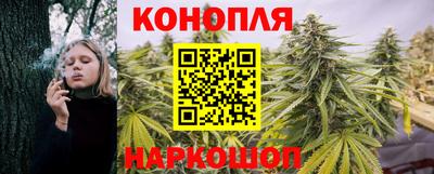 крисы Балаково