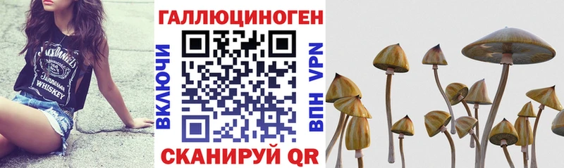 Галлюциногенные грибы GOLDEN TEACHER  Железноводск 