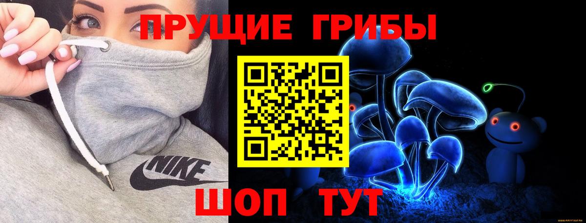 Псилоцибиновые грибы MAGIC MUSHROOMS  где найти наркотики  Железноводск  Вход с VPN  Псилоцибиновые грибы мицелий 